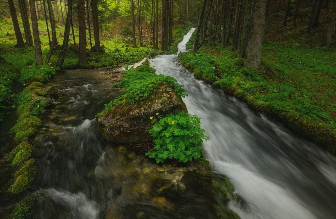 Family and closing office reviewing inherited Michigan land sale documents