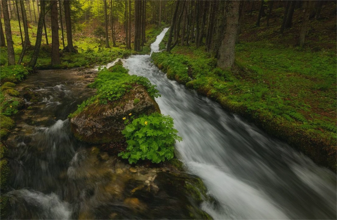 Michigan land records and parcel facts for How to Sell Land Without Clear Title in Michigan