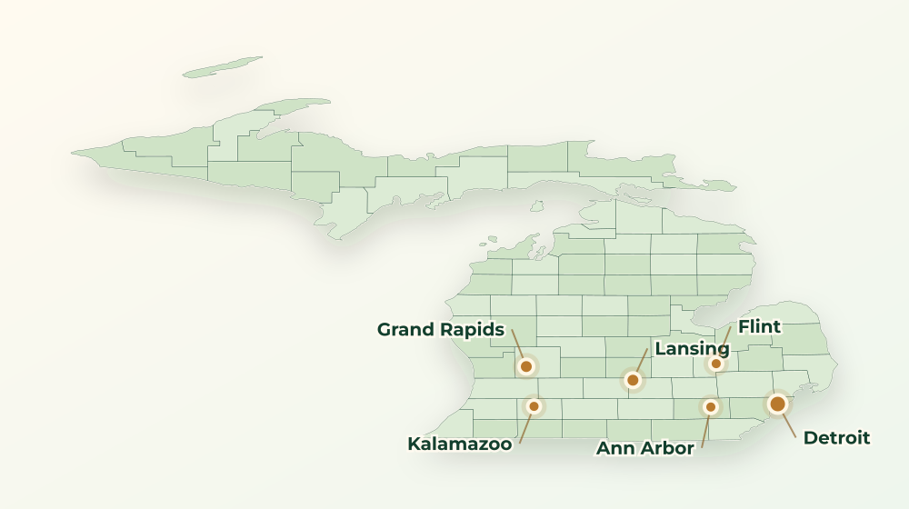 Accurate Michigan land service area map with county boundaries and major city labels